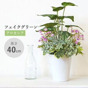 造花 観葉植物 フェイク アロカシアのシックな色合いの鉢植え 40cm フェイクグリーン リアル インテリア 光触媒 CT触媒 シルクフラワー mgr