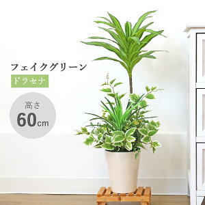  ϗtA tFCN 2̃hZi̔A 60cm tFCNO[ A CeA K̖ G} CTG} VNt[ mgr