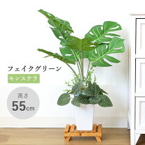 楽天市場】リアル フェイクグリーン モンステラの通販