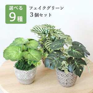  ϗtA tFCN Iׂ9 ~jO[3Zbg A  A tFCNO[ CeA CeAO[ CTG} G} VNt[ mgr