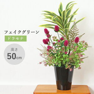  ϗtA tFCN hZiƃZj`RȄHF̔A 40cm tFCNO[ A CeA K̖ G} CTG} VNt[ mgr