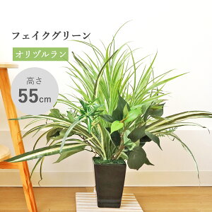 ���� �ϗt�A�� �C���e���A �I���d�������ƃO���X�A�\�[�g�̔��A�� 55cm LEB8388 �ϗt�A�� CT�G�} ���G�} �V���N�t�����[ �t�F�C�N�O���[�� �C���e���A�O���[�� bgr