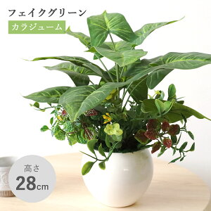 ���� �ϗt�A�� �t�F�C�N �J���W���[���ƃ��[�J���̔��A�� 28cm ���A�� ��� ������ �C���e���A �t�F�C�N�O���[�� �C���e���A�O���[�� CT�G�} ���G�} mgr