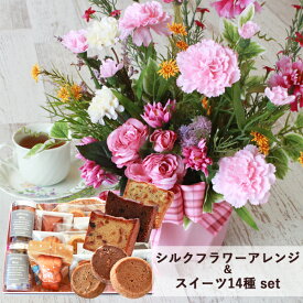 楽天市場 花 ガーデン Diy 種類 植物 ナデシコ の通販 楽天市場 花 ガーデン Diy 種類 植物 ナデシコ の通販