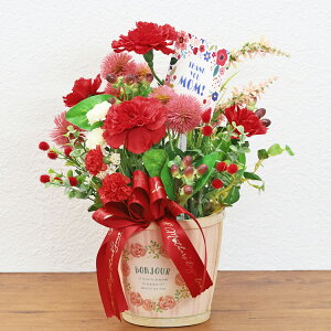 アウトレット 造花 赤いカーネーションとルリタマアザミのアレンジ 花 枯れない花 ギフト メッセージカード お祝い お届け指定日可能 レッド CT触媒 シルクフラワー フラワーアレンジメン