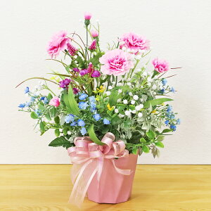  J[l[V Mtg J[l[VƂݑ̃AW  ͂Ȃ v[g bZ[WJ[h sN CTG} VNt[ t[AWg