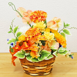  J[l[V Mtg IW̃_AƃJ[l[V̌CςȃAW  ͂Ȃ Mtg bZ[WJ[h oXPbg CTG} VNt[ t[AW