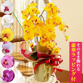 胡蝶蘭 造花 3本立 ラッピング・立札対応 お祝い 開店祝い 優雅で高貴なシルクフラワーの胡蝶蘭の鉢植え CT触媒 光触媒 新築祝い 開院祝い 周年 就任 栄転 昇進 贈答 敬老の日 父の日 母の日 誕生日 花 ギフト お供え 白 黄色 紫 ピンク 山久 【asu】