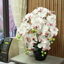 胡蝶蘭 造花 常滑産陶製鉢に入った気品あふれる胡蝶蘭の鉢植え 5本立ち CT触媒 光触媒 新築祝い 開店祝い 開院祝い お中元 お歳暮 年末年始 ギフト プレゼ...