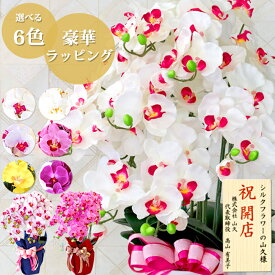 胡蝶蘭 造花 7本立 ラッピング・立札対応 お祝い 陶器製の鉢に入った気品あふれるシルクフラワーの胡蝶蘭の鉢植 CT触媒 光触媒 異動 就任 栄転 昇進 校長 開店祝い 新築祝い 開院祝い 周年 贈答 敬老の日 母の日 誕生日 花 ギフト お供え 白 黄色 紫 ピンク