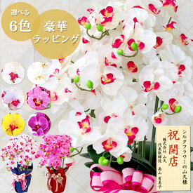 胡蝶蘭 造花 7本立 ラッピング・立札対応 お祝い 陶器製の鉢に入った気品あふれるシルクフラワーの胡蝶蘭の鉢植 CT触媒 光触媒 異動 就任 栄転 昇進 校長 開店祝い 新築祝い 開院祝い 周年 贈答 敬老の日 母の日 誕生日 花 ギフト お供え 白 黄色 紫 ピンク