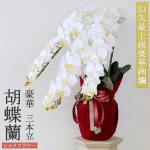  Ӓ  3{ DΉ bsOt j CiӂVNt[̌Ӓ̔A CTG} G} JXj Vzj J@j N AC h] i  hV̓ ̓ 