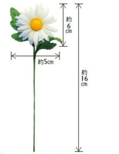 { sbNfCW[ 5×16cmE20{ Mtg v[g bsOpi ԑ AWg    |