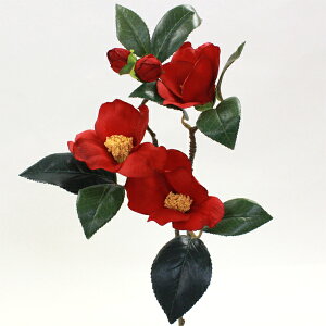  coL u` VT-R303  ΂ Pi VNt[ CTG} G} tan