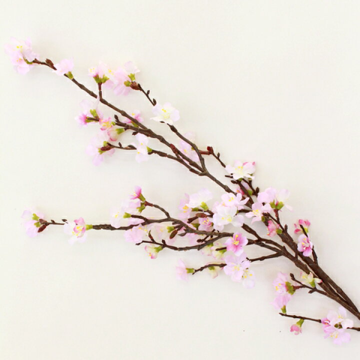 楽天市場 桜 造花 紅山桜 大 100cm 桜 枝 さくら 木 造花 Fm3955 ディスプレイ アレンジメント用 おうち花見 インドア花見 シルクフラワーの山久