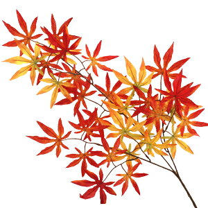  R݂ Pi FG1893 ~W gt tFCN fBXvC VNt[ CTG} G} tan