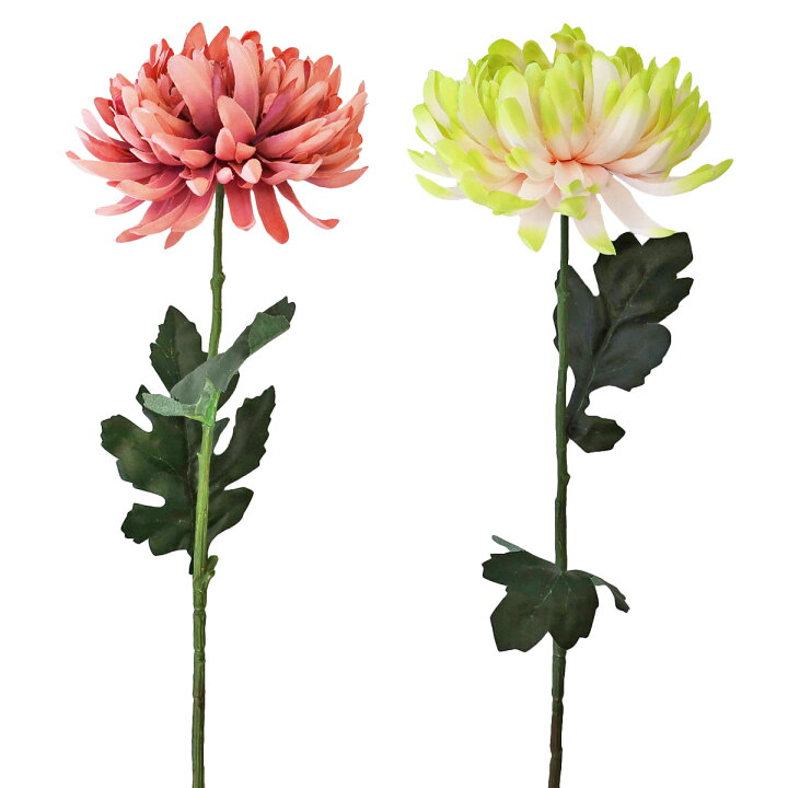 楽天市場】大和菊 造花 2種類から選べる きく キク 60cm グリーン 