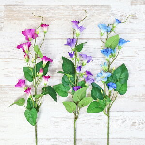  y`jAXv[ Pi { 3ނIׂ E2605 y`jA p[v oCIbg u[   VNt[ CTG} G} tan