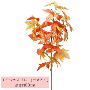  яH݂ 80cm Pi ~W gt Xv[ t t H IW   tFCN fBXvC VNt[ CTG} G} tan
