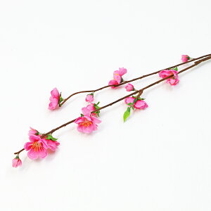   ̃Xv[ 60cm VE4223 Pi }     fBXvC AWgp ЂȂ܂ ЂȍՂ  tan