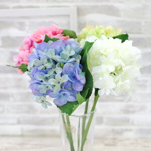  VO AWTC Xv[ Pi {  4FIׂ 4582  AWTC u[ zCg O[ sN VNt[ CTG} G} tan