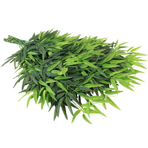 [    VNt[̍| 73cm 12{ [ fBXvC tFCN vX`bN  } ̗t  CTG}H  G}yasuz