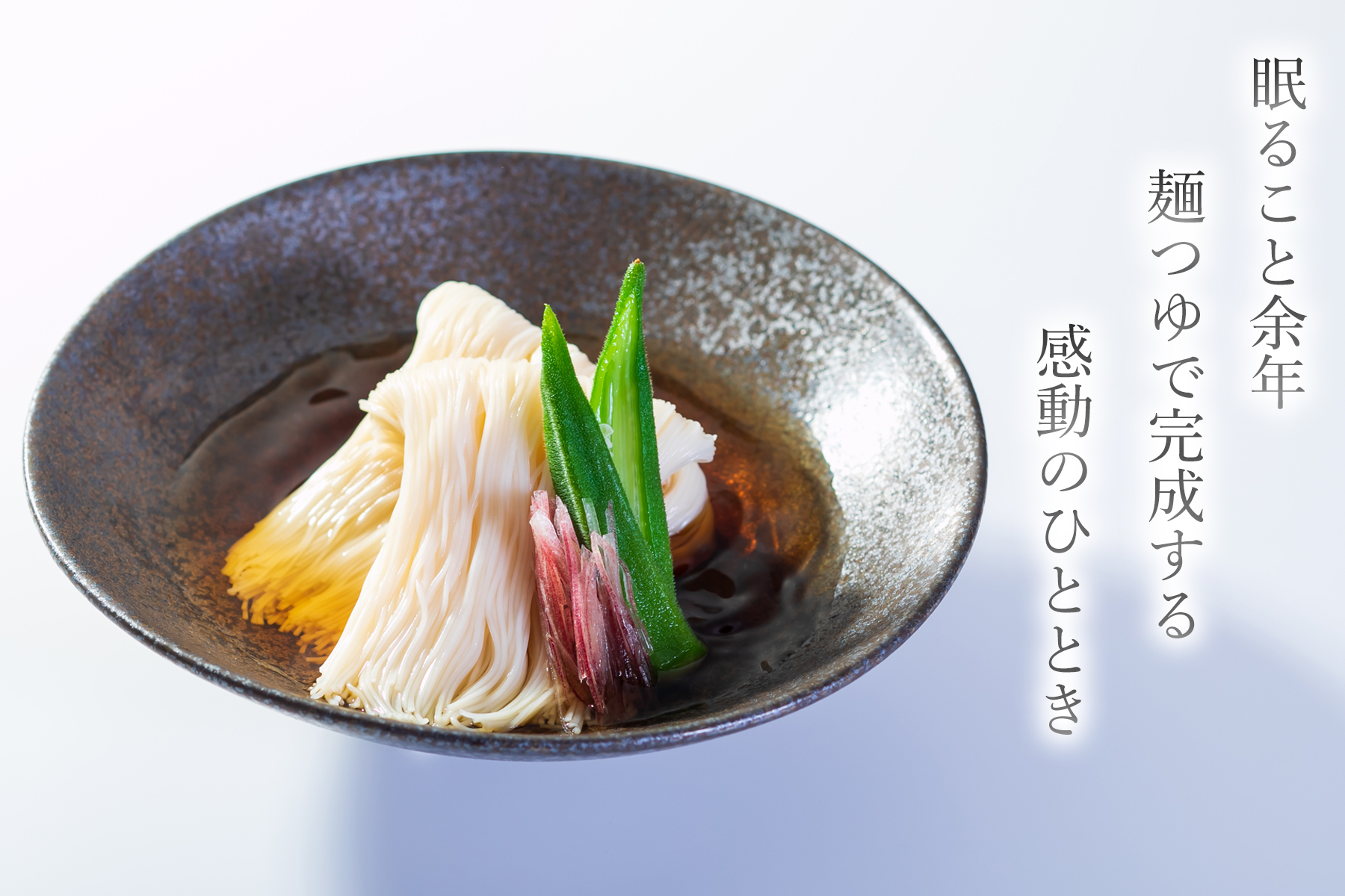 国内外の人気集結！ 奈良県三輪素麺工業協同組合<br>三輪手延べ素麺 神杉