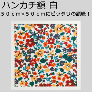 y{znJ`z  J[^Cv izCgj `i500mm×500mmj ؐ t[ nJ`z