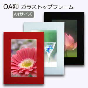 yOAz KXgbvt[ A4i210×297mmjzy z A4TCYz \S1KXz