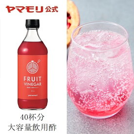 業務用 炭酸割り専用ビネガー FRUIT VINEGAR ザクロ 12倍希釈（1本）500ml ｜ 飲むお酢 砂糖無添加 強炭酸 炭酸用 お酢ドリンク 低糖質 糖質制限 糖質オフ りんご酢 ザクロ 希釈用 大容量 あす楽 父の日 SALE