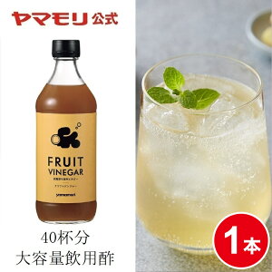 y|Cg20{ 9/3 20:00~9/11 01:59܂Łz } Y ƖpTCY FRUIT VINEGAR NtgWW[ 12{(1{)500ml | ނ| Y_ |hN ᓜ It 񂲐| S|