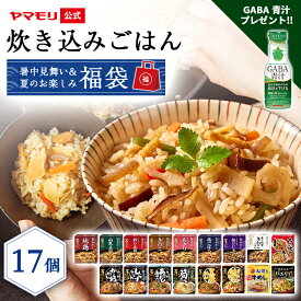 暑中見舞い＆夏のお楽しみ福袋 炊き込みごはん （17個） 2026 ( 釜めしの素 13品 + 香り松茸きのこごはん×1 炊き込みパエリア×1 松屋監修炊き込み牛めし×1 ちょい炊き2個セット×1) 新セット内容 釜めし 炊き込みご飯 釜飯 3合 2合 レトルト 詰め合わせ
