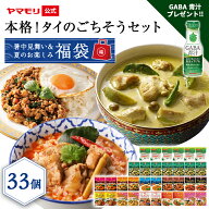 暑中見舞い＆夏のお楽しみ福袋　本格！タイのごちそうセット（33個） 2026 タイカレー と ガパオ 11個セ…
