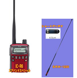 楽天市場 Ic R6の通販