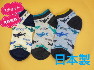 y}g\bNXz@{@3Zbg@@q@C@LbY@j̎q@qpC@TbVXj[J[\bNX16`18cmA19`22cm