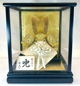  S502 hJuZ KXP[X P[X܌l`@P[X@@RpNgP[X@RpNg@[߂̐ߋ@ߋ@j@ǂ̓@COւ̂yY@