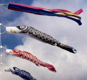 ̂ڂ@1D2miC@x_Zbg܌l`@[߂̐ߋ@ߋ@j@aj@Mtg@v[g@̂ڂ@X^_[h@Vv@{@{yY@{`@