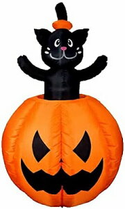 [rOGA[fBXvC pvLLbg HW-1190nEB@Cxg@p[eB[@fR[V@@nEBp[eB[@nEBfR[V@nEB