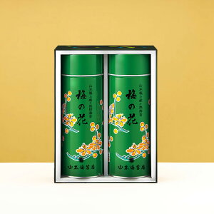 R{CۓX Y ~̉ 12ʋliΊʁjĊCہEC lTԂ Au e{ V ԗi Ԃ    @  @v u l킹 lߍ킹 ~ 