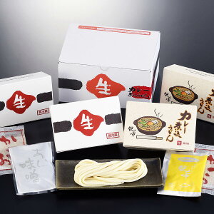 煮込うどんセット(生)フレッシュギフト【味噌2人前・カレー2人前】(名古屋名物)