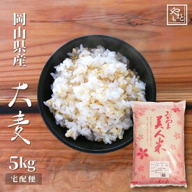 大麦 令和5年 岡山県産大麦(丸麦) 5kg もち麦の代わりに 送料無料 安い お試し おすすめ ポイント消化 ぽっきり 国産 ダイエット健康美容