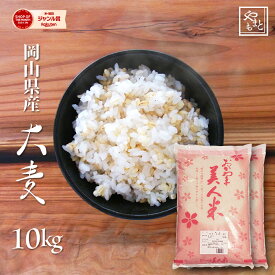 大麦 令和5年 岡山県産大麦(丸麦) 10kg(5kg×2) もち麦の代わりに 送料無料 安い お試し おすすめ ポイント消化 ぽっきり 国産 ダイエット健康美容