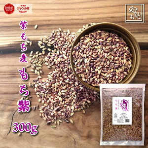  ߘa6N RY_CV`300g     |Cg ۂ _CGbgNe