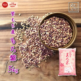 もち麦 岡山県産 紫もち麦(ダイシモチ) 5kg　 送料無料 安い おすすめ ダイエット健康美容