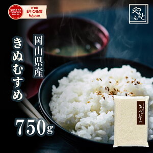 お米 新米 令和7年 岡山県産きぬむすめ750g キヌムスメ ポイント消化 ぽっきり 安い お試し 送料無料