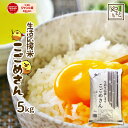 お米 生活応援米こごめさん5kg（5キロ×1袋） 安い 送料無料 北海道沖縄離島は追加送料 業務用 格安