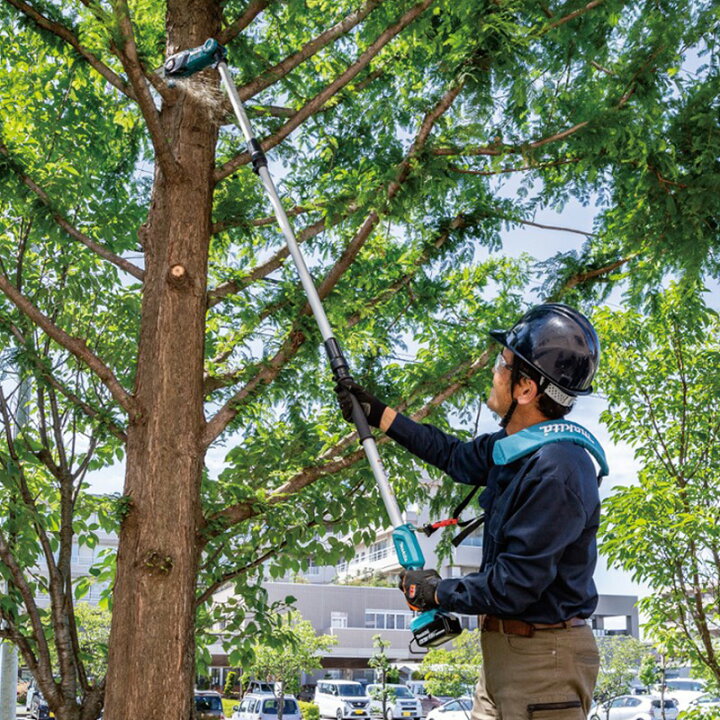 楽天市場】【正規店】 マキタ 充電式高枝チェンソー MUA200DZ ガイド 