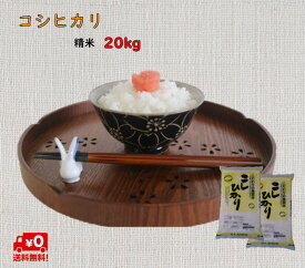 5年千葉県産コシヒカリ　20kg　送料無料　コメ　精米　白米　コシヒカリ