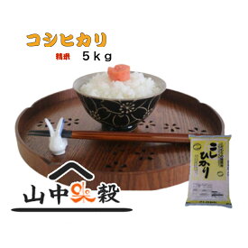 新米7年千葉県コシヒカリ白米 5kg
