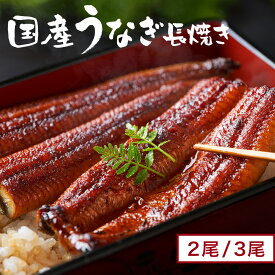 国産 うなぎかば焼き 長焼き 選べる数量（ 2尾/3尾 ） 【 送料無料 】 うなぎ 国産 鰻 ウナギ 国産うなぎ 人気 お取り寄せ 魚 焼き魚 おかず お惣菜 グルメ 贈り物 父の日 ギフト プレゼント お中元 うなぎ ギフト 山中水産